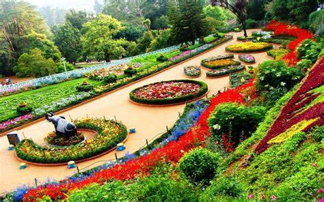 Ooty Tour